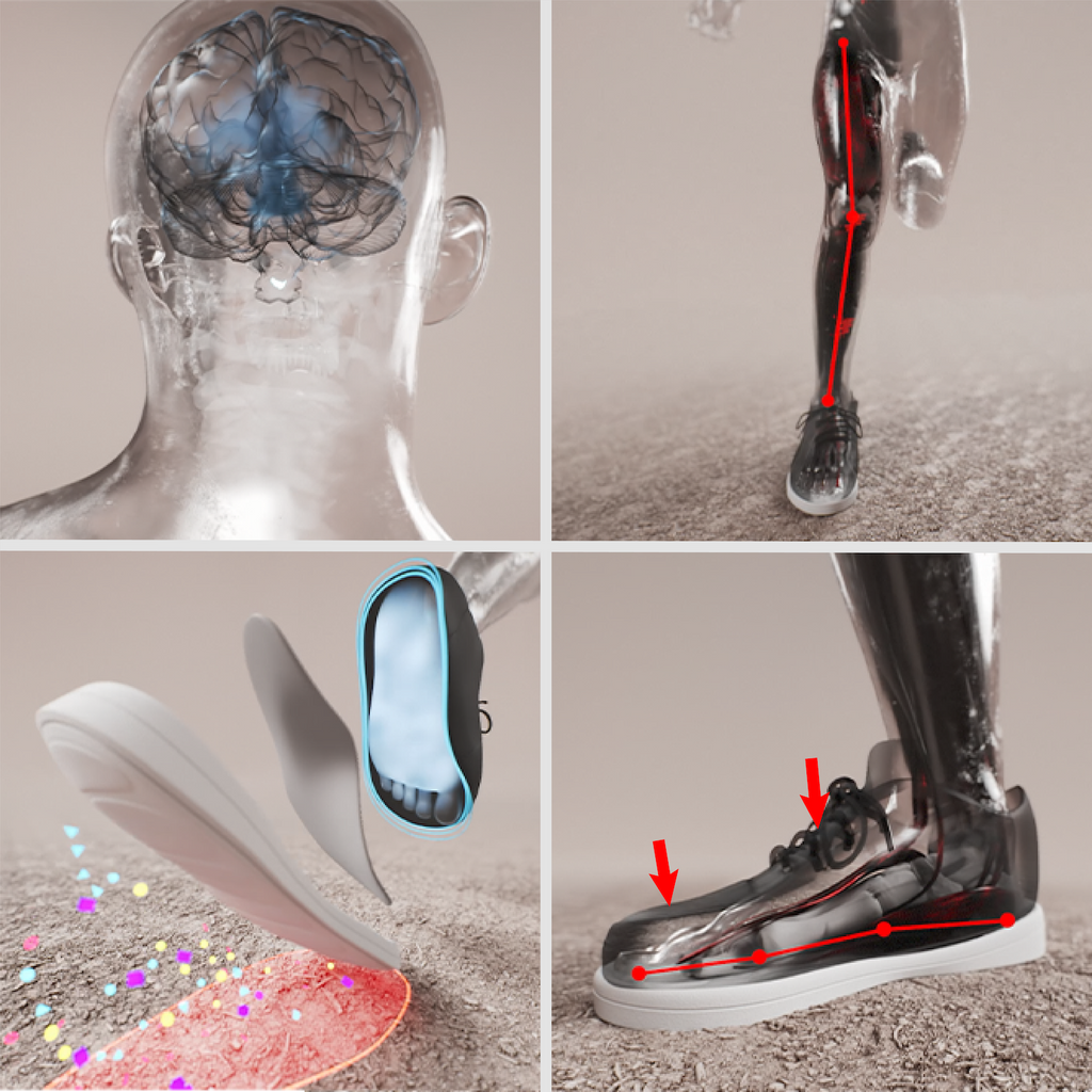 The Science Behind the Biopods Technologies - Biopods®