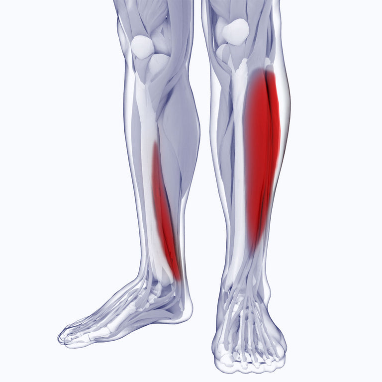 Shin Splits - Biopods Technologies - Biopods®